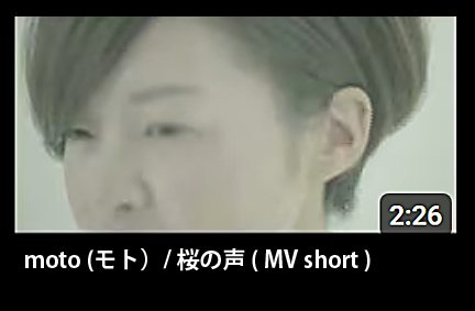 Moto - 桜の声  Music Video